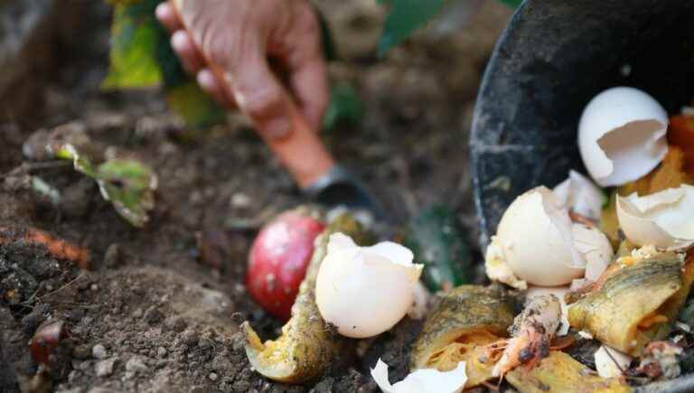 Jocelyne de Bléré’s garden question: let’s talk about compost!