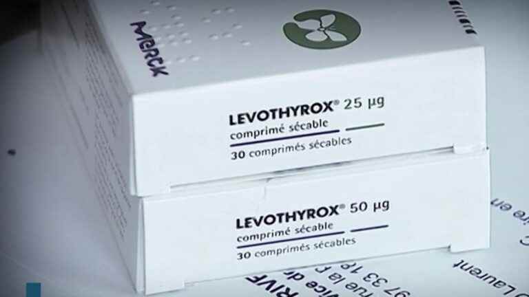 Justice: the Merck laboratory, manufacturer of Levothyrox, indicted