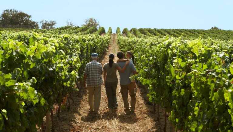 Les Vignes Réboussières is Sunday in Bagard.  Jérôme Pépin hosts the event