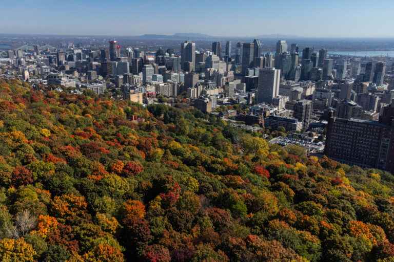 Let’s build on our strengths to transform Quebec