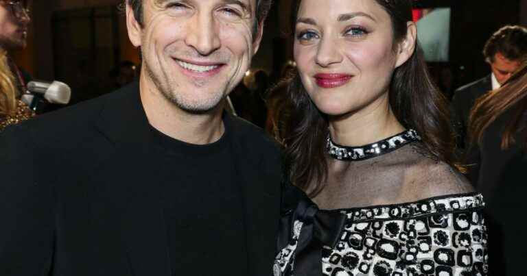 Marion Cotillard and Guillaume Canet: The birth of their love story, against a backdrop of infidelity?