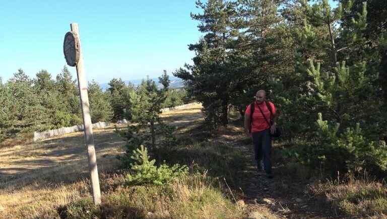 Mika’s escapades – Mont Lozère