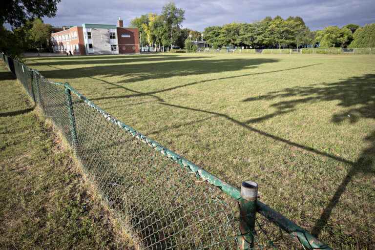 Mount Royal |  Another primary school project put on hold