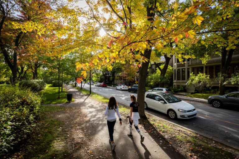 Outremont bans gas-powered leaf blowers