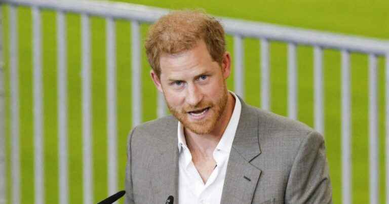 Prince Harry: End of suspense, the date of his memoirs confirmed… First photo!