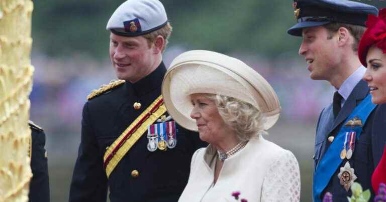 Prince Harry: His difficult relationship with his stepmother Camilla, all the details soon to be revealed?