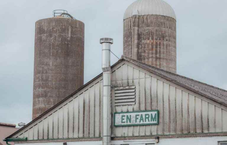 Prison farms in the eye of Valérian Mazataud