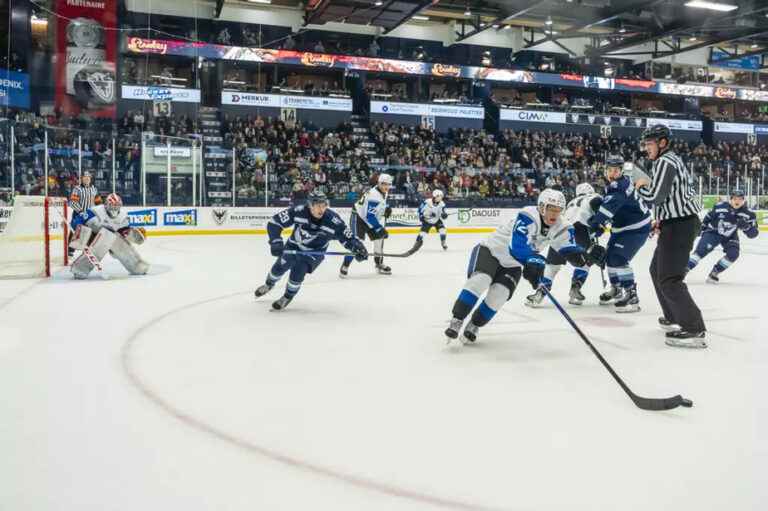 QMJHL |  Phoenix defeats Sea Dogs to remain undefeated in regulation