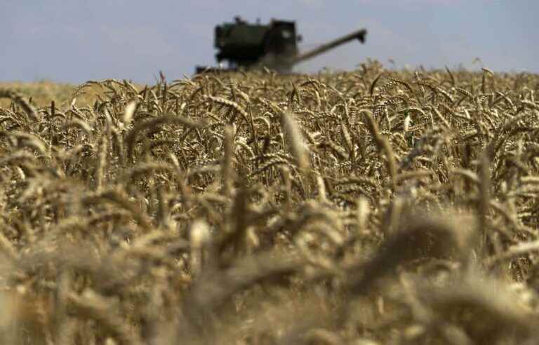 Russia suspends agreement on Ukrainian grain exports