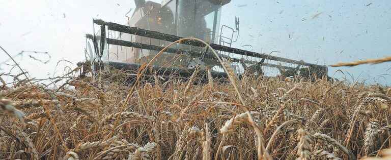 Russia suspends participation in Ukrainian grain export deal