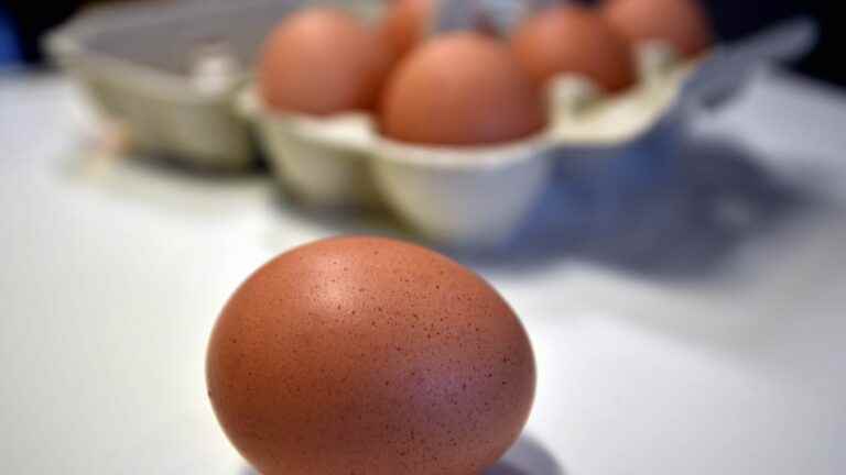 Should eggs be eaten in moderation?