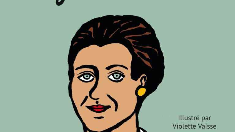 “Simone Veil, I am writing to you” by Irène Cohen Janca