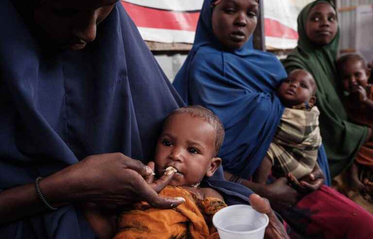 Somalia on the brink of a famine ‘never seen’ in half a century