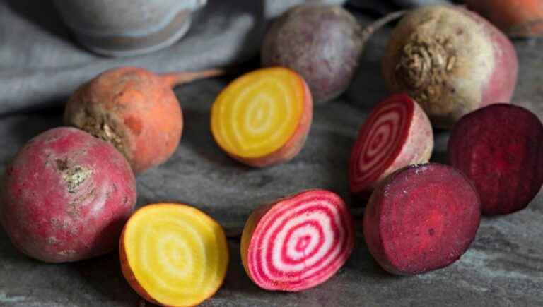 Stephanie Langin, the chef of the Yssingelais restaurant “Chez Elles” cooks the beets for us