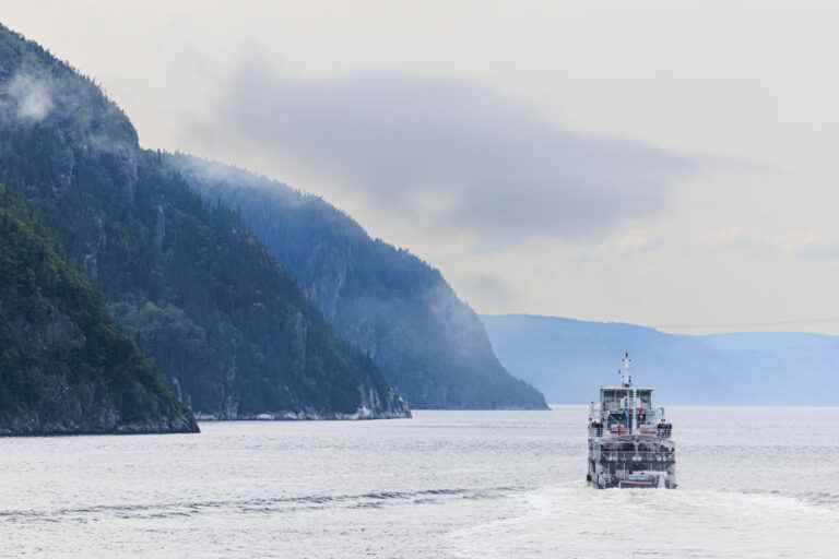 Tadoussac |  To whales in the mist