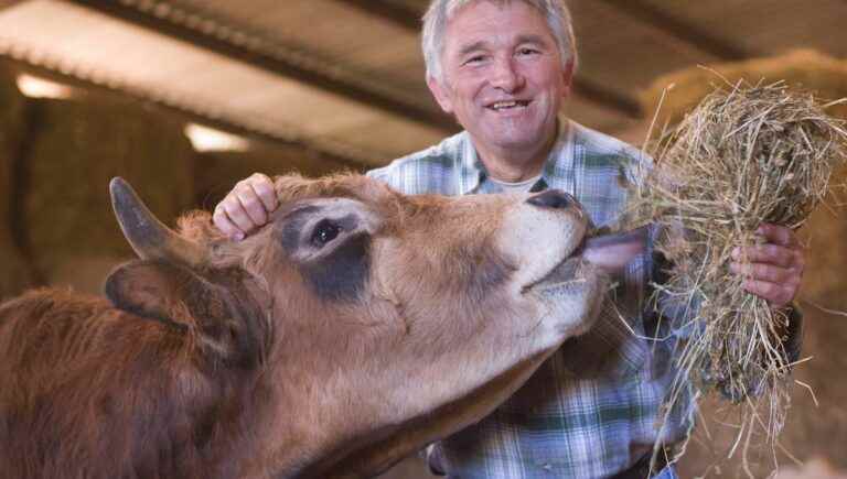 The Auberge de La Poule Rousse in Doizieux, a family farm that feeds yours.