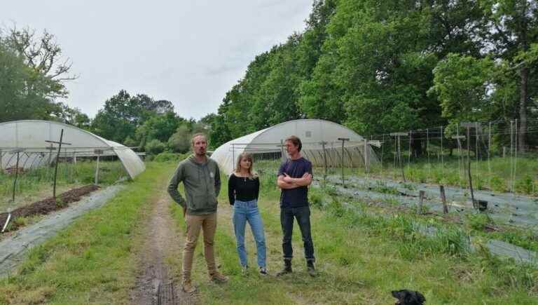 The Born cooperative, a virtuous circle for eating well in the Landes