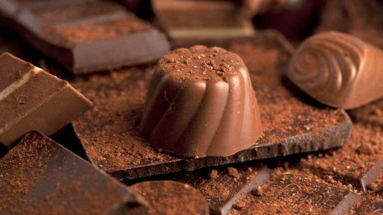 The Gourmandises et Chocolat Fair in Ludres on October 29 and 30, 2022