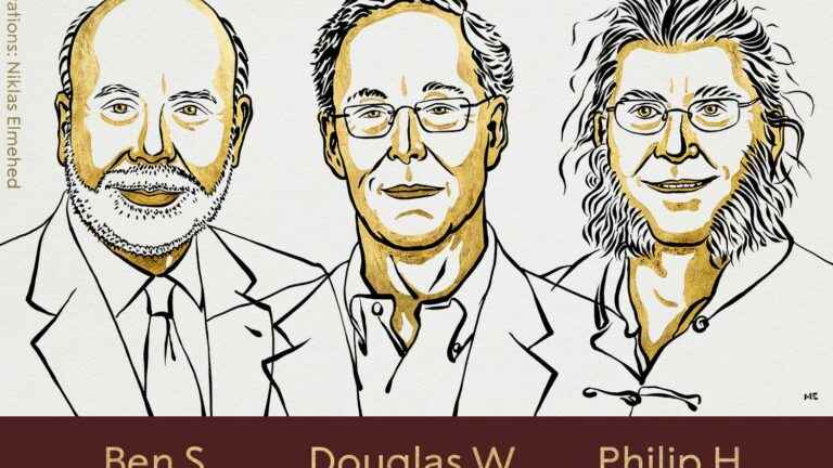 The Nobel Prize in Economics is awarded to Americans Ben Bernanke, Douglas Diamond and Philip Dybvig for their work on banks and financial crises