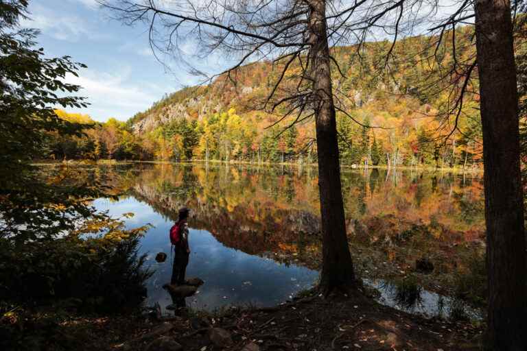 The little secrets of the fall hike