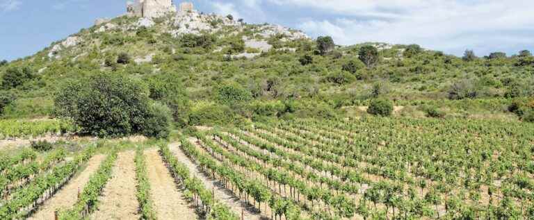 The other color of Languedoc |  The Journal of Montreal