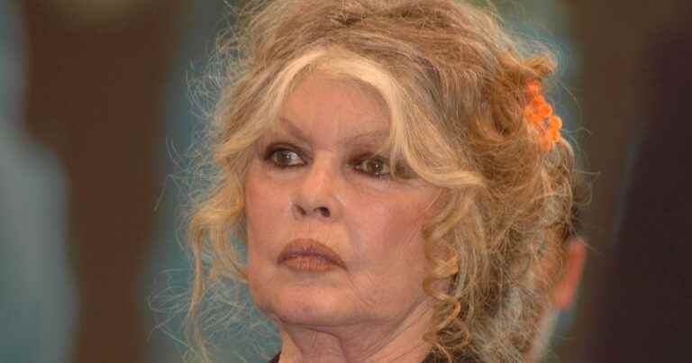 “The poor kid…”: Brigitte Bardot unable to take care of her son, a close friend testifies