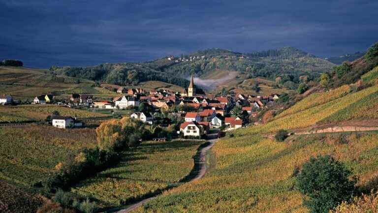 “The rural world is our great carbon sink, with new challenges, new populations”, Jean Viard