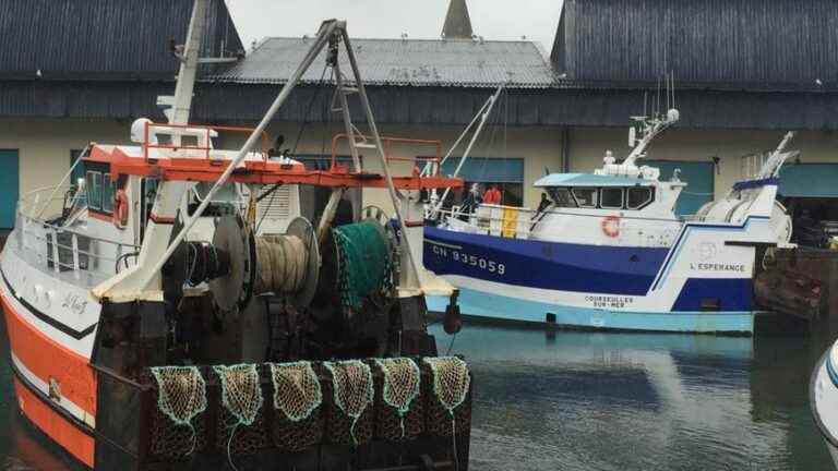 The scallop fishing season is on!