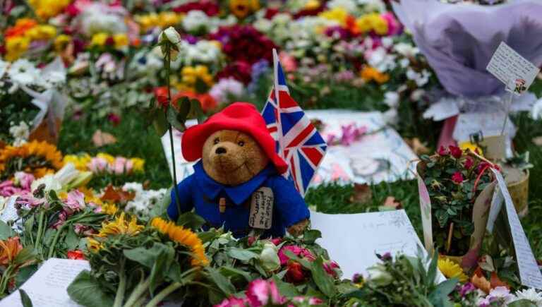 The teddy Paddington bears deposited in tribute to Elizabeth II donated to charity