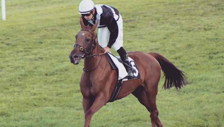 The training of Charles Gourdain’s racehorses at the Domaine de Sers