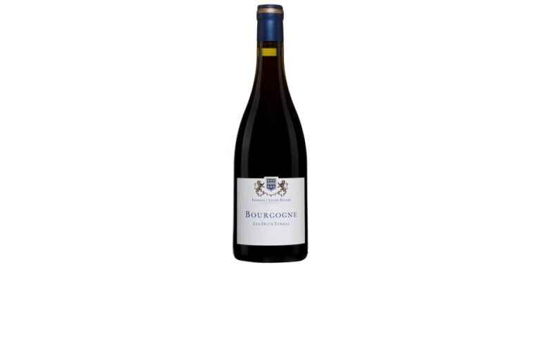 Thibault Liger-Belair Les Deux Terres Bourgogne Gamay 2019 |  Classic: finesse and elegance