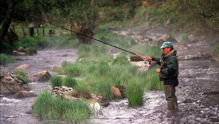 Toc fishing, the art of patience