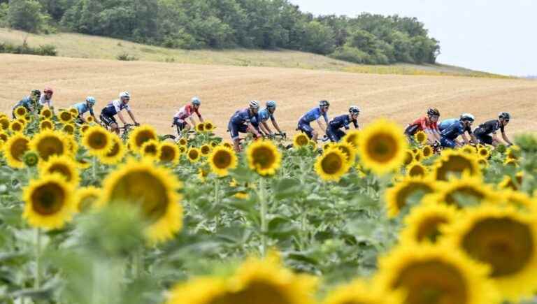 Tour de France 2023: follow the presentation of the men’s and women’s routes live on Thursday from 11.30 a.m.