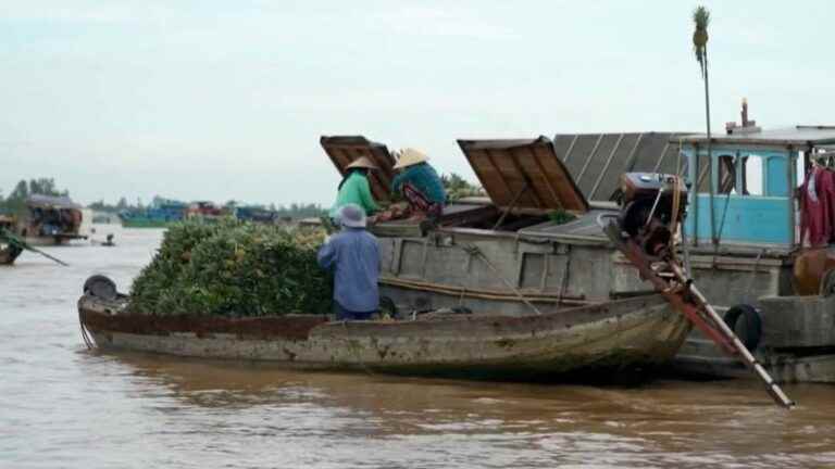 Tourism: in Vietnam, buyers and sellers travel by boat to the Long Xuyên floating market