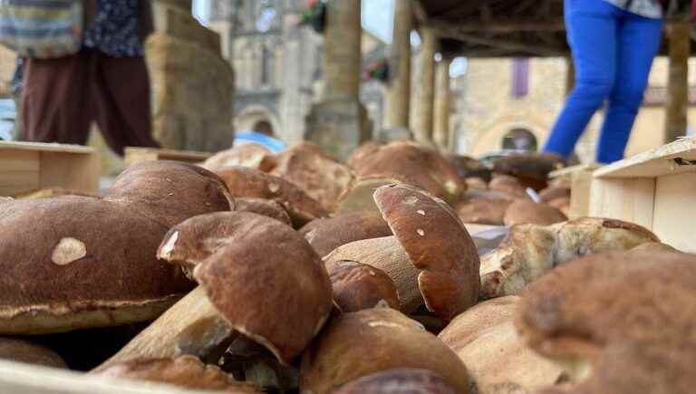 Two ceps markets are closing in the Dordogne, a third is full