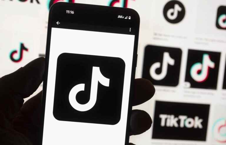 US election misinformation gives TikTok a hard time