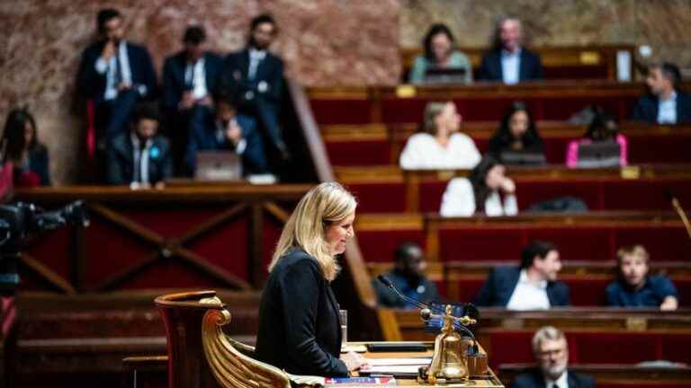 VIDEO.  The National Assembly observes a minute of silence for the victims of the repression in Iran