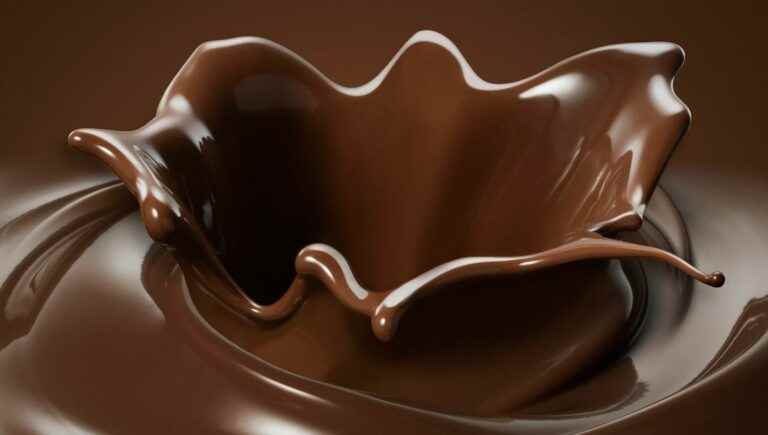 We cook Chocolate since it is the delicacies and chocolate fair in Ludres