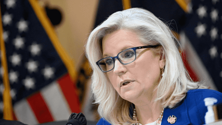 Who is Liz Cheney, the anti-Trump Republican who is fighting to keep him from ever returning to the White House?