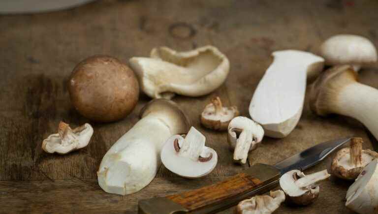 With the chef of Jean Jaurès, a Saint-Etienne brasserie, we cook autumn mushrooms