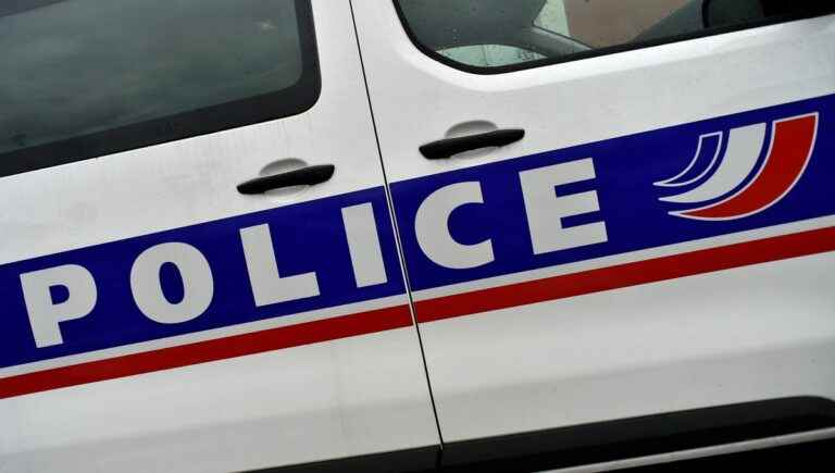 Without a train to leave Bordeaux, he points motorists with a fake gun on the ring road