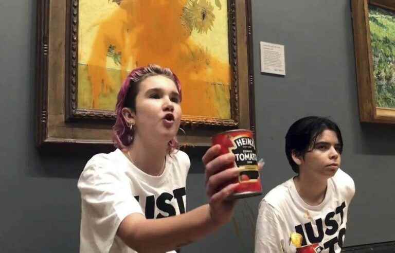 Women protesters who threw soup at a Van Gogh painting have been freed