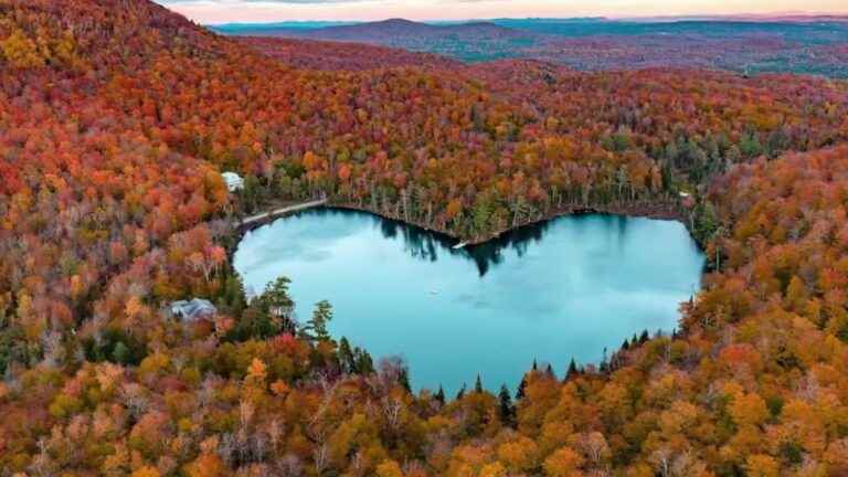 a heart-shaped lake, rice fields and a work of art… The news of the week in pictures