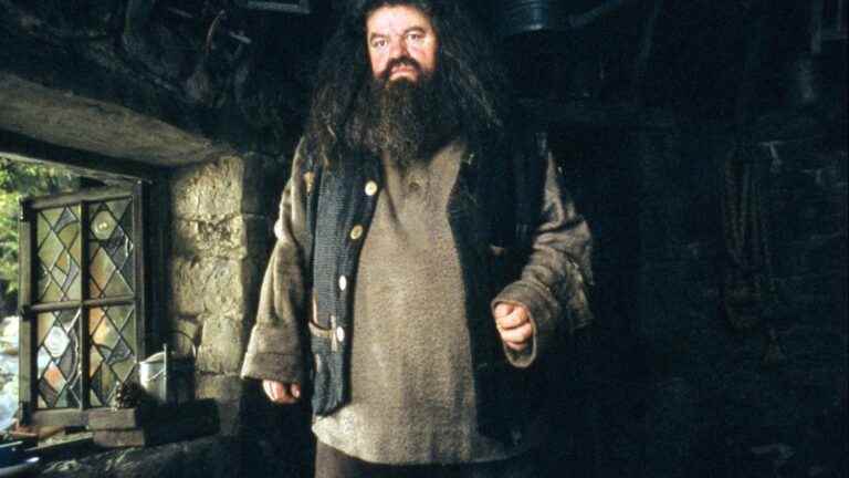 actor Robbie Coltrane, best known for his role as Hagrid in the Harry Potter saga, has died at the age of 72