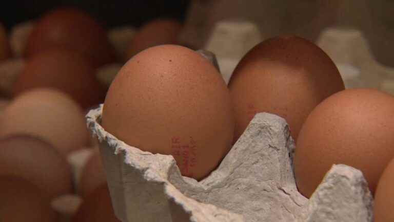 egg sales are up sharply