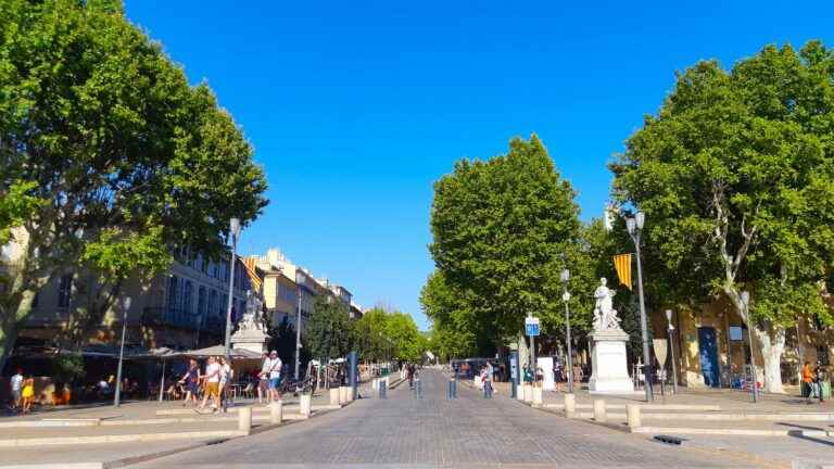 half of the tree species in the city are already weakened in France