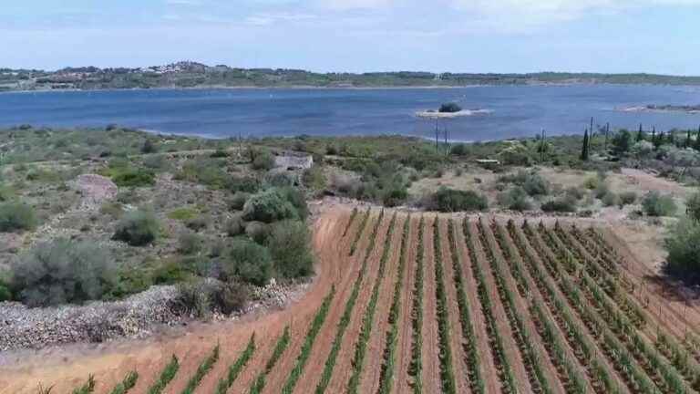 in Leucate, a wine kept in water for nine months