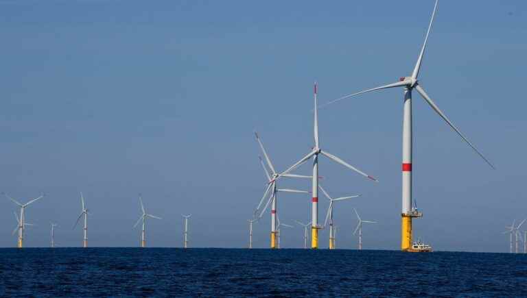 in Mayenne, the Lancelin rope factory has invested 2.5 million euros in offshore wind power