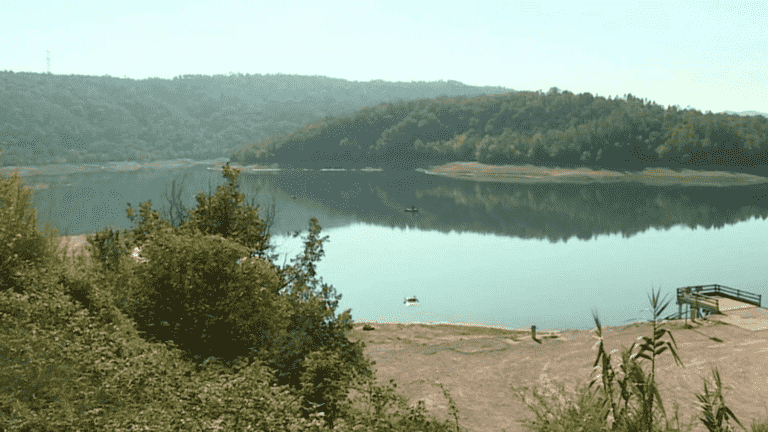 in the Var, the lack of water worries the town of Tanneron