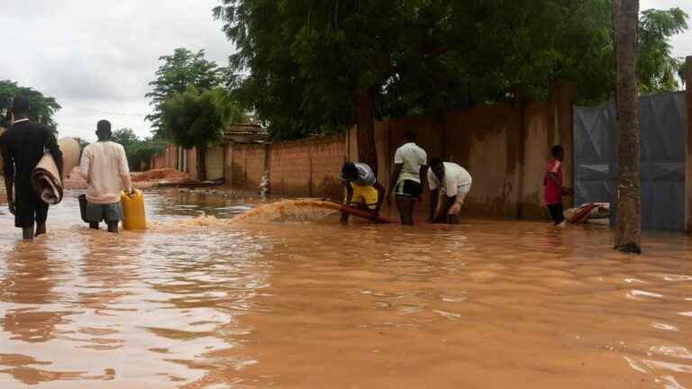 loss and damage are “a priority subject to be addressed at COP27”, insists Senegalese environmental activist Aïssatou Diouf